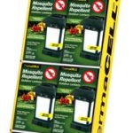 TCELL OUTDOOR LANTERN DISPLAY