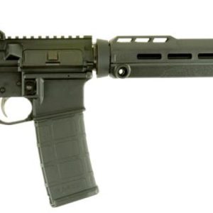 Savage MSR 15 Patrol AR-15 .223/5.56 16 Barrel Blackhawk Furniture 30rd Mag