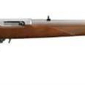 Ruger 10/22 22LR