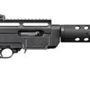 Ruger SR22rdS Rifle 22 LR