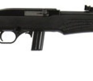 Rossi 22LR