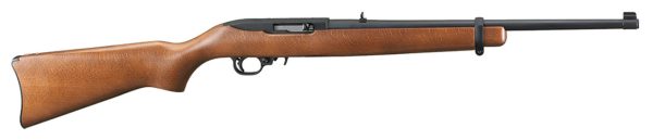 Ruger 10/22 Carbine .22 LR